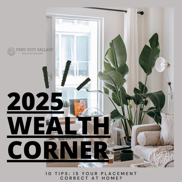 wealth corner fengshui