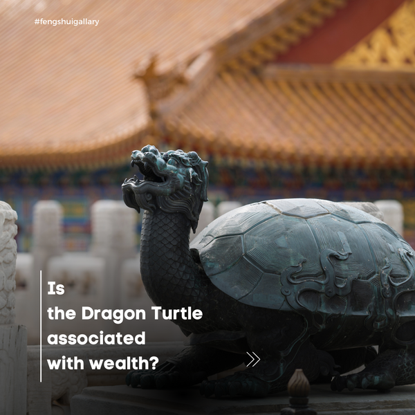 Is  the Turtle  associated  with wealth?