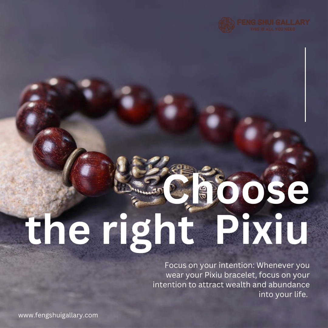 Choose the right Pixiu bracelet