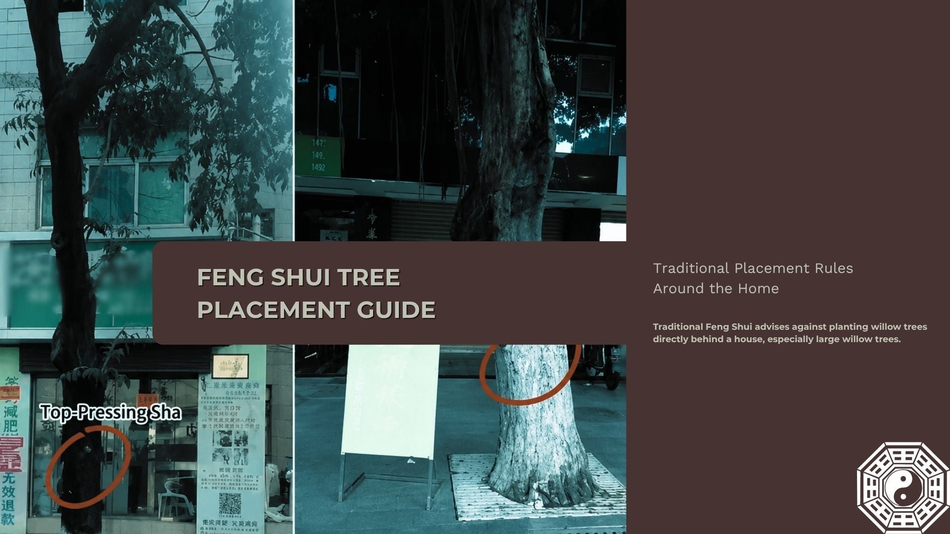 Feng Shui Taboos for Large Trees Around the Home