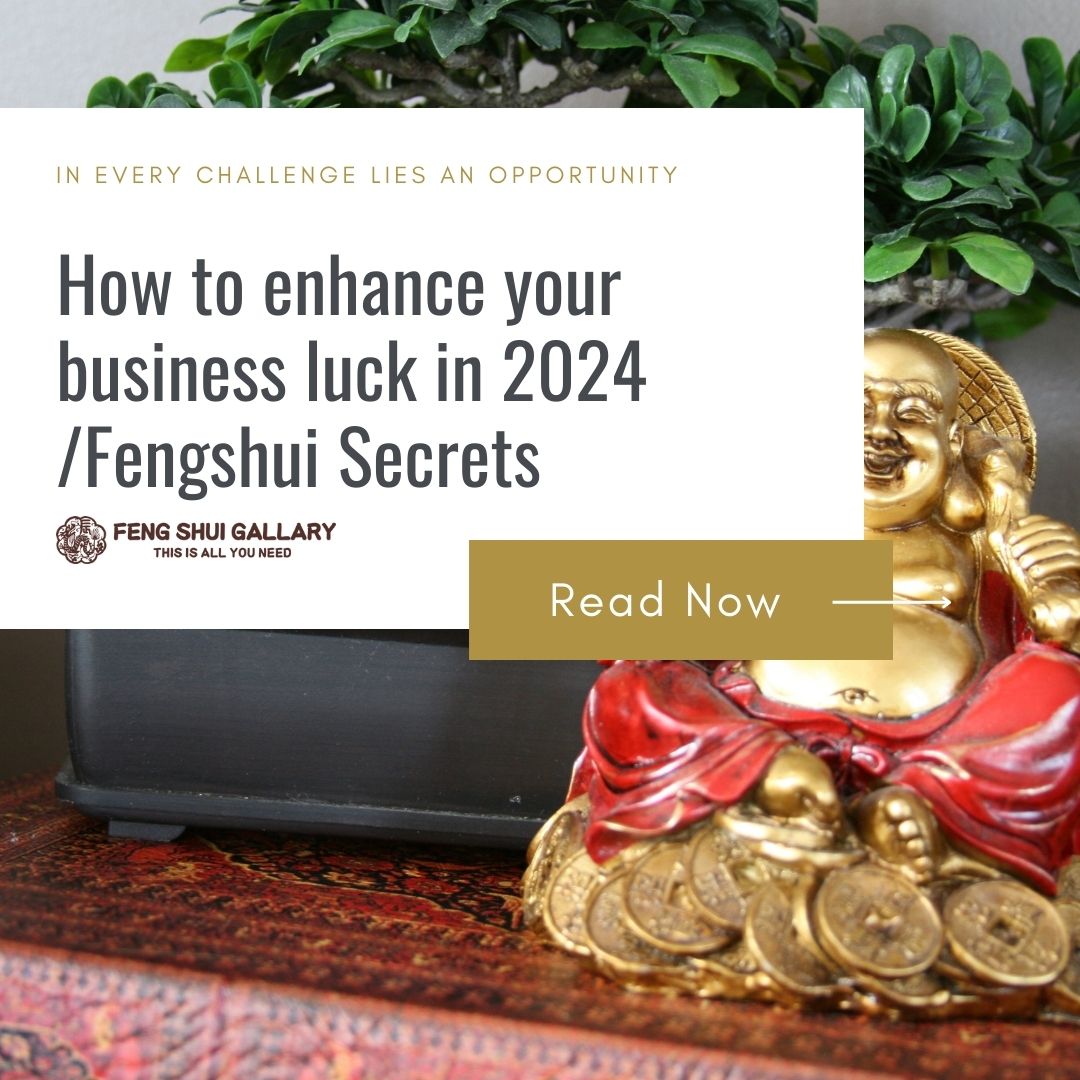 Feng shui business luck guide featuring a Laughing Buddha and potted plant