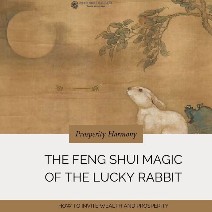 The Feng Shui Magic of the Lucky Rabbit: How to Invite Wealth and Prosperity