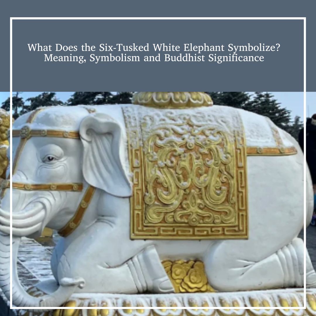 The Story of the Six-Tusked White Elephant