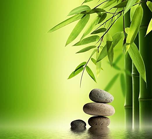 Best 3 Feng Shui Lucky Charms to Bring Good Fortune | FengshuiGallary