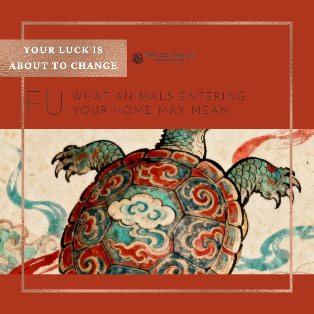 What Animals Entering Your Home May Mean Your Luck Is About to Change