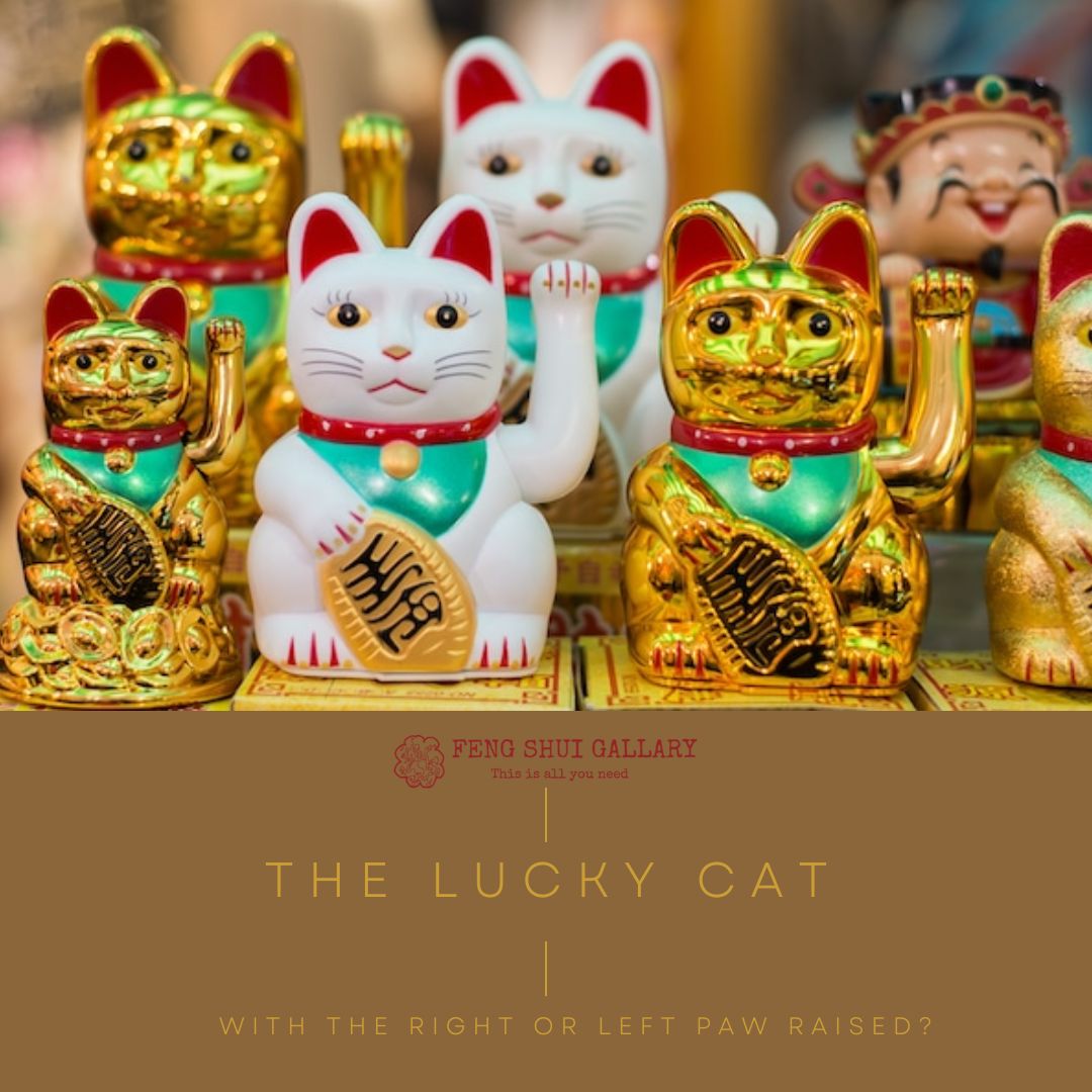 The Maneki-Neko Guide: How to Invite Wealth and Good Vibes into Your Spac