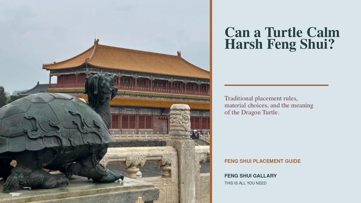 Dragon Turtle statue with Feng Shui turtle placement guide