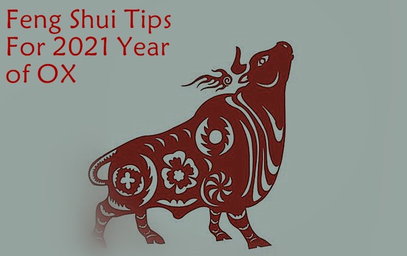 Feng Shui Tips For 2021 Year of the Ox
