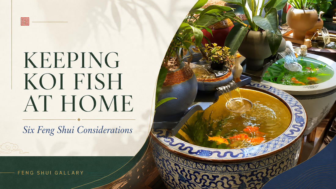 Keeping koi fish at home: six Feng Shui considerations