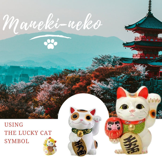 Maneki-neko History and Using in Fengshui-Fortune Cat