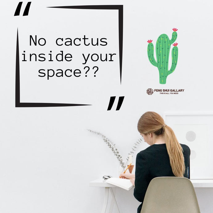 No Cactus Inside Your Space, Absolutely No?