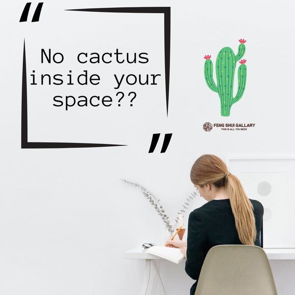 No Cactus Inside Your Space, Absolutely No? - FengshuiGallary