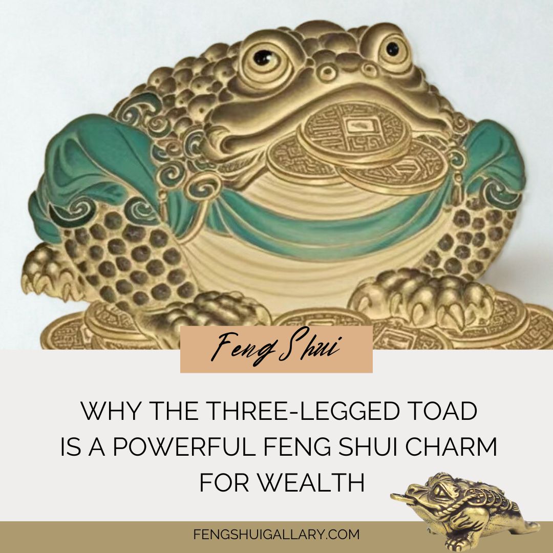 Why the Three-Legged Toad Is a Powerful Feng Shui Charm for Wealth