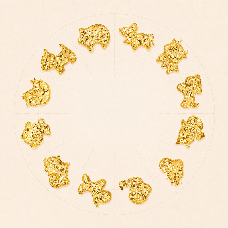 Twelve gold-plated zodiac stud earrings arranged on an ivory wheel