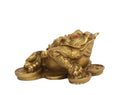 Fengshui Frog Lucky Statue-Fengshui Toads
