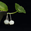 White Jade Lotus Silver Earrings-Inner Peace