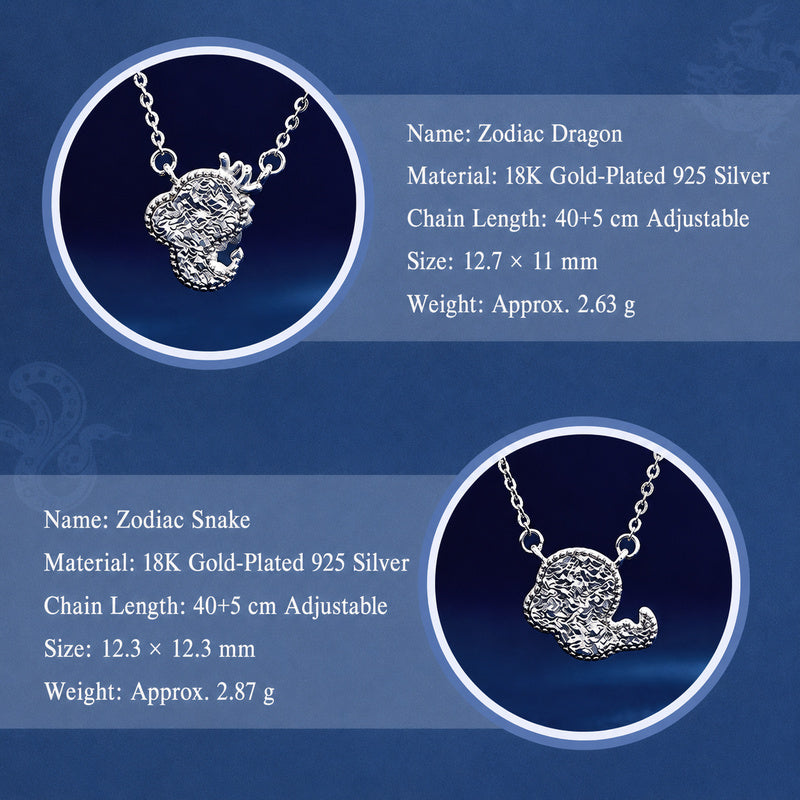 925 Silver Zodiac Necklace-Your Year, Worn with Meaning