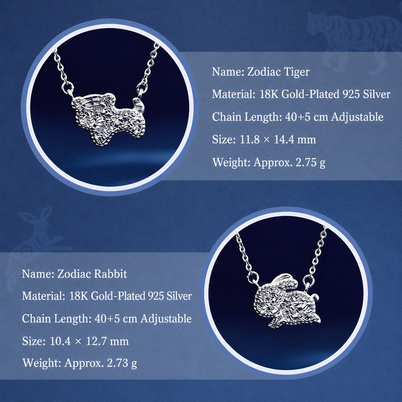 925 Silver Zodiac Necklace-Your Year, Worn with Meaning