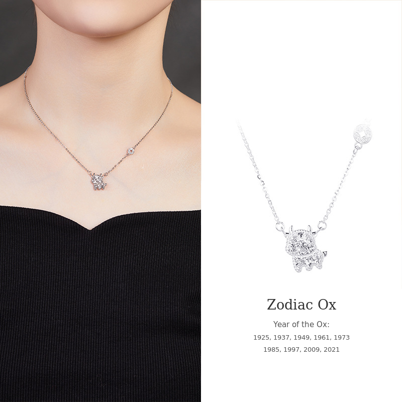 925 Silver Zodiac Necklace-Your Year, Worn with Meaning