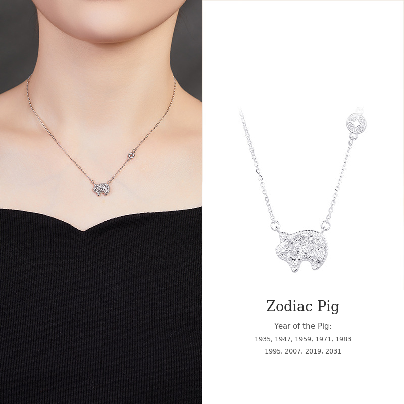 925 Silver Zodiac Necklace-Your Year, Worn with Meaning