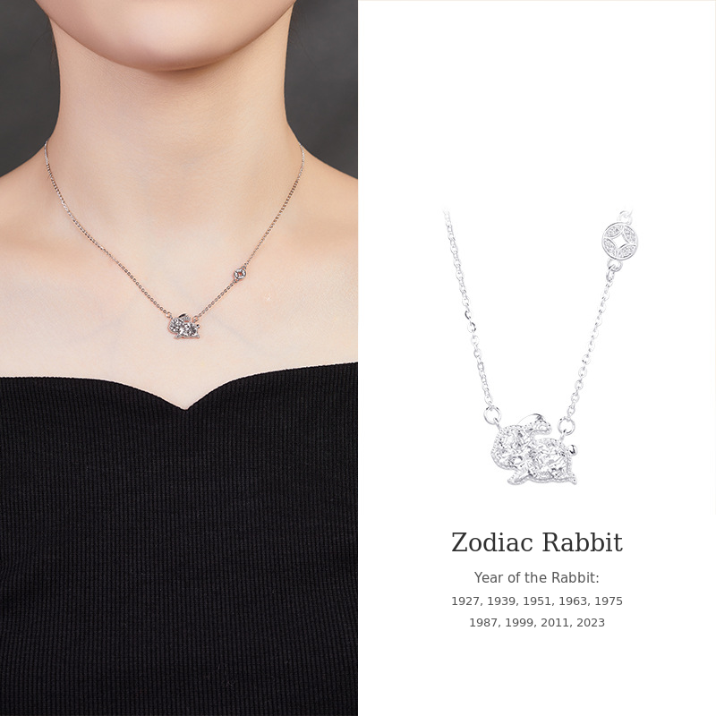 925 Silver Zodiac Necklace-Your Year, Worn with Meaning