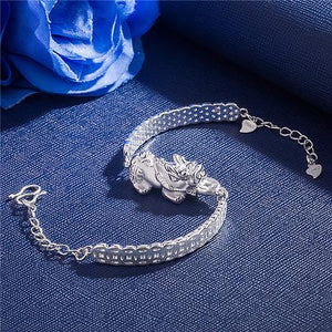 New Edtion Silver Fengshui Lucky Coin Pixiu Wealth Bracelet - FengshuiGallary